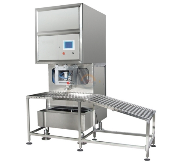 Automatic Bag in Box Filling Packing Machine Fully Auto Liquid Juice Wine Water Oil Paste Bib Pouch Packaging Filler for Sale
