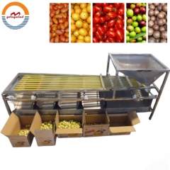 Good Price Automatic Commercial Olive Grading Sorting Machine Auto Industrial Olives Size Grader Sorter Equipment for Sale