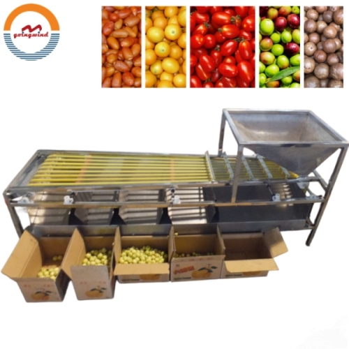Good Price Automatic Commercial Olive Grading Sorting Machine Auto Industrial Olives Size Grader Sorter Equipment for Sale