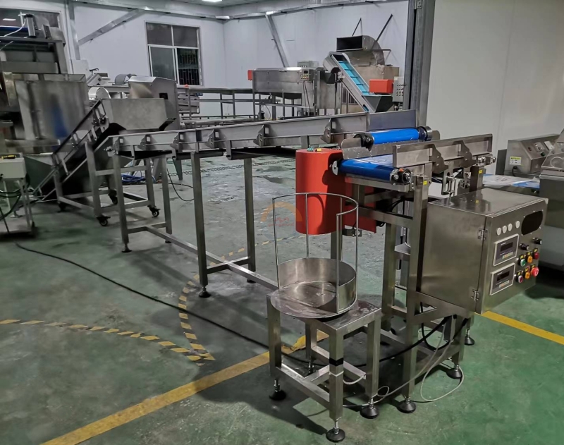 POTATO PROCESSING LINE (HUNGARY)