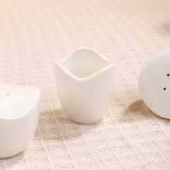 Rounded Triangle Toothpick/Salt&pepper set