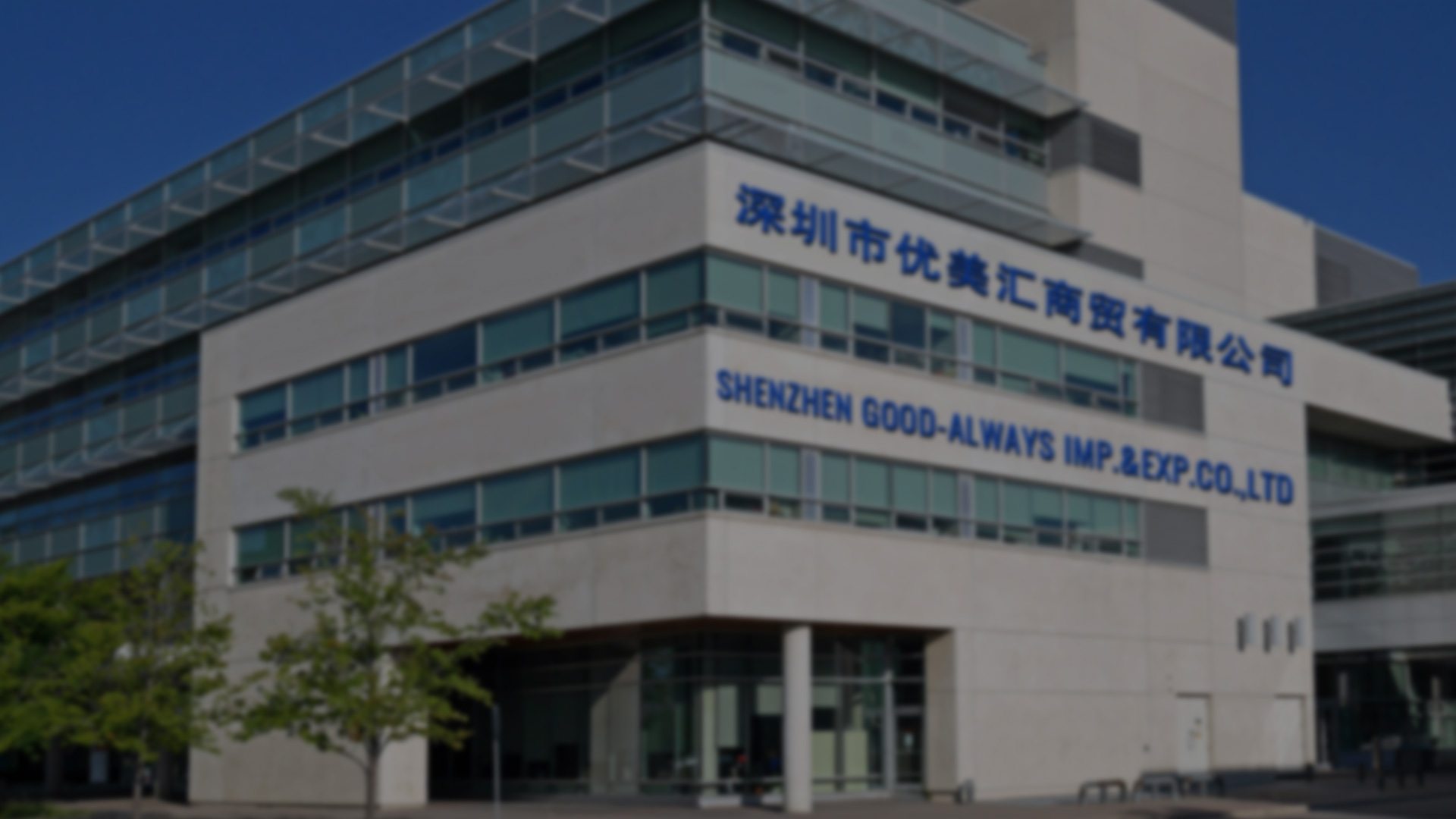 Focus on dinnerware  import and export business