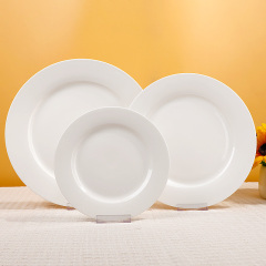 Rimmed Series Dinner Plate