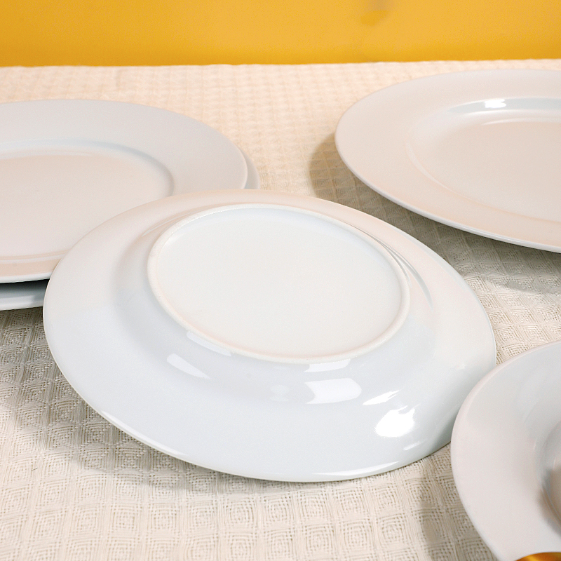 WP Rimmed Series Dinner Plate