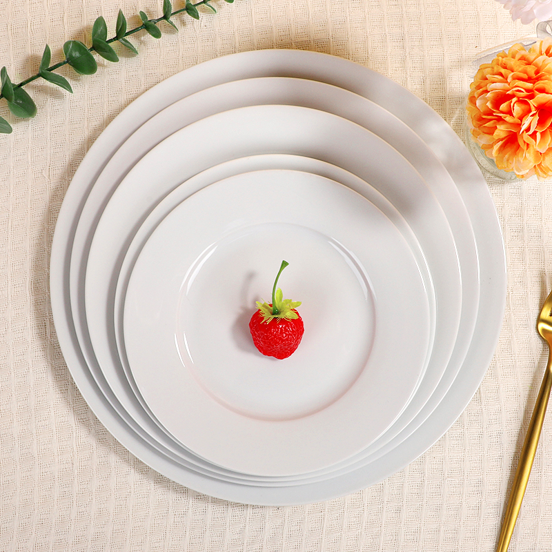 WP Rimmed Series Dinner Plate