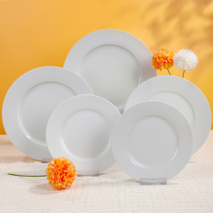WP Rimmed Series Dinner Plate