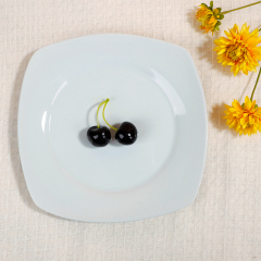 WP-4 Square Series Dinner Plate