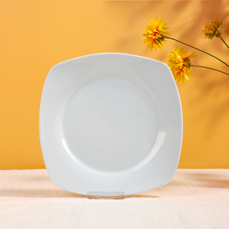 WP-4 Square Series Dinner Plate
