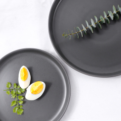 Stoneware Dinner Set