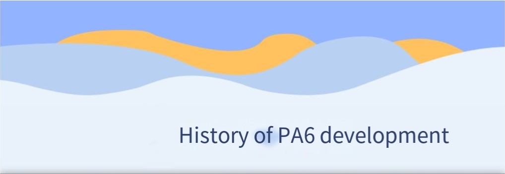 History of domestic PA6 development