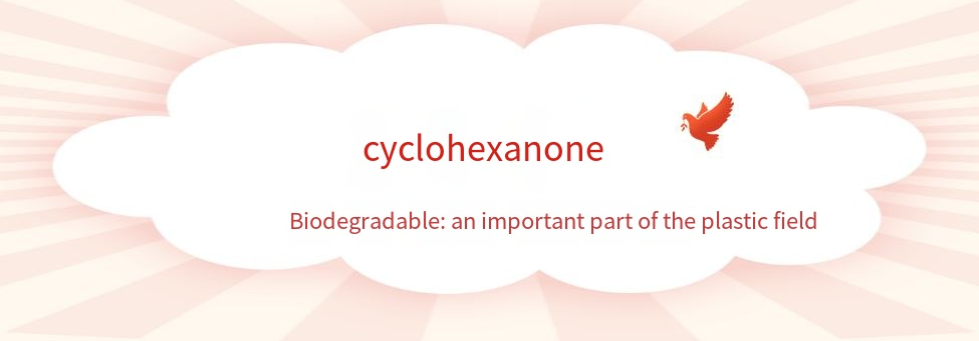 Cyclohexanone: an important link in the field of degradable plastics