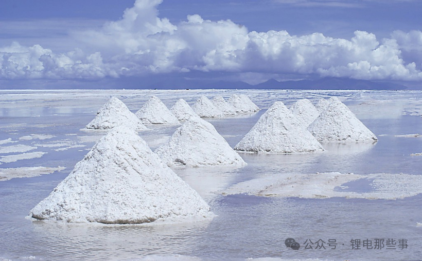 The suspension of production at CATL's Yichun mining area has ignited the global lithium market.