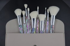 M1004 White hair polarized crystal brush set original picture without PS
