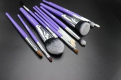 11pcs Face Eyeliner for Foundation Blush Concealer Eyeshadow