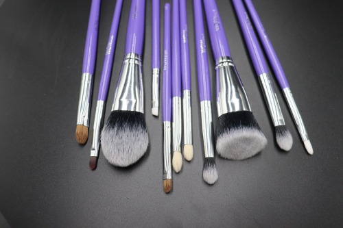 11pcs Face Eyeliner for Foundation Blush Concealer Eyeshadow