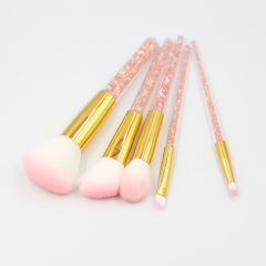 Best-selling 5 PCS Sparkling treatment Acrylic Diamond Crystal Liquid Glitter Star Makeup brush set