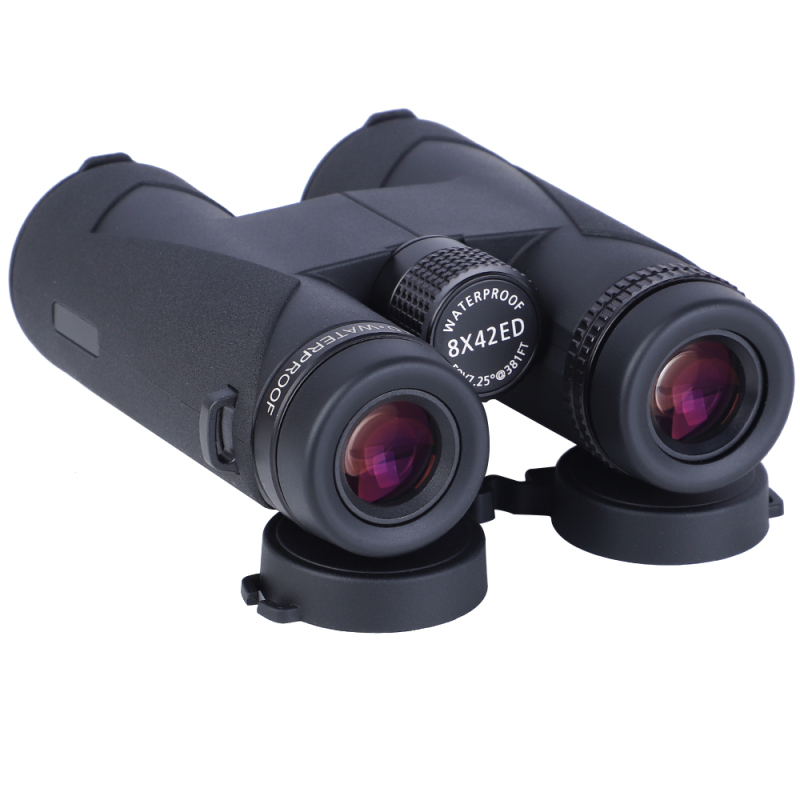 Birdwatching High Quality FMC Bak4 Waterproof 8x42 10X42 Compact ED Binoculars for Adults