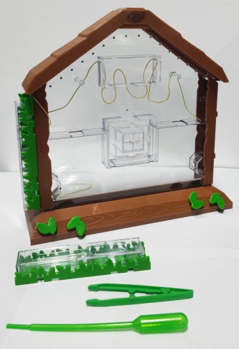 ANT HOUSE