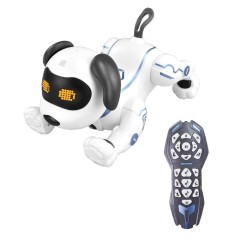RC dog