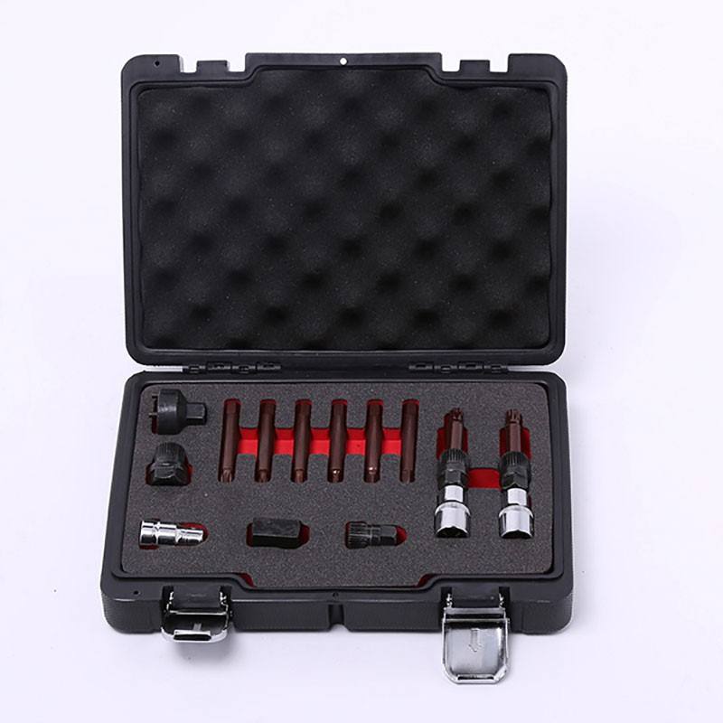 13 Pc Alternator Pulley Kit