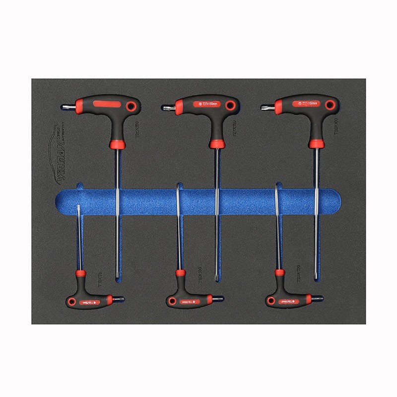 6PCS T-Handle and Hex Wrench Set
