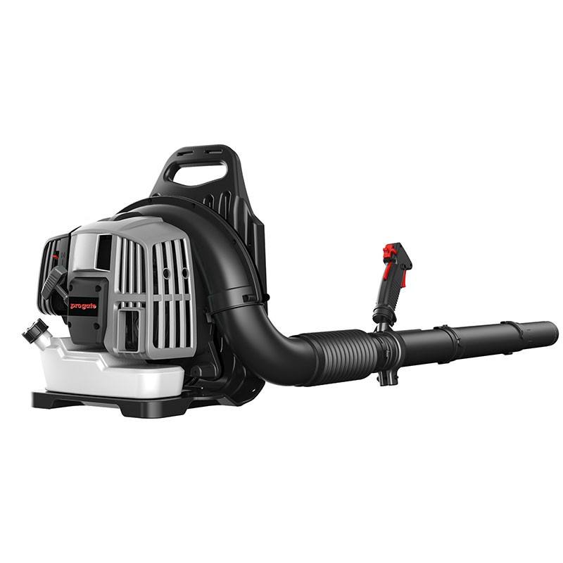 Petrol Blower