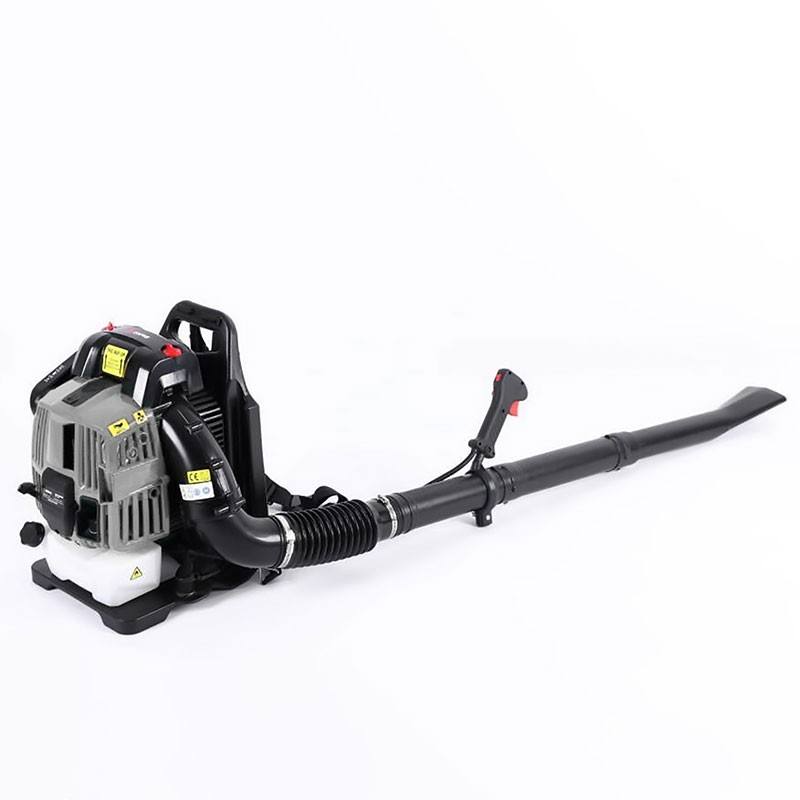Petrol Blower