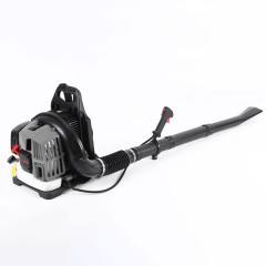 Petrol Blower