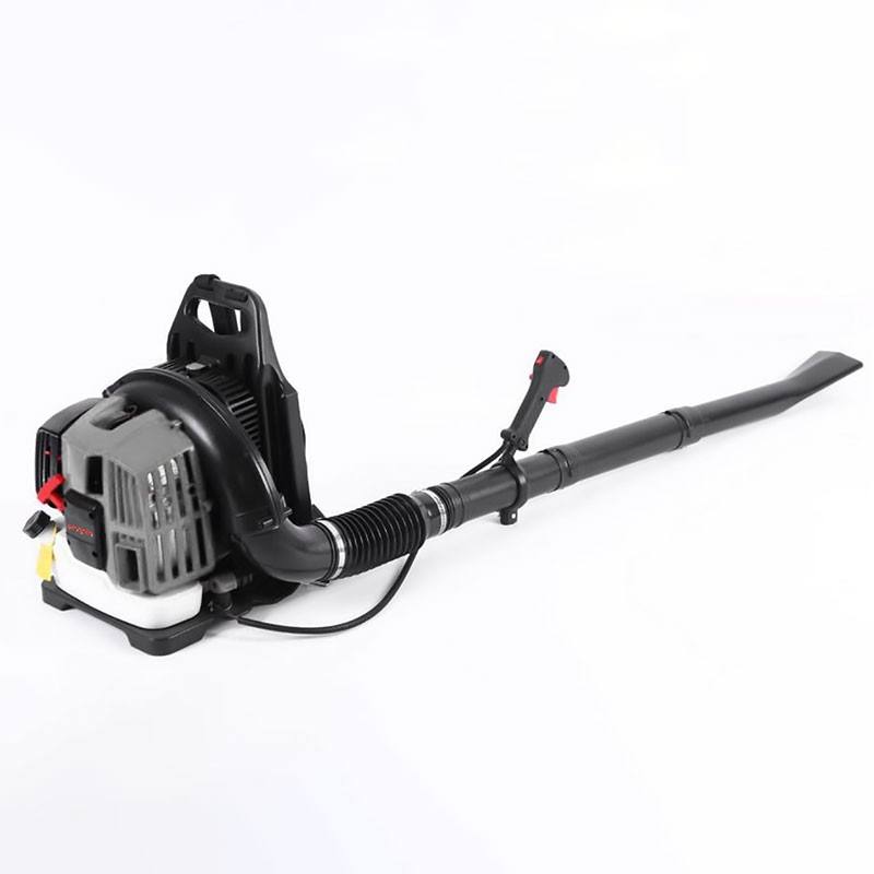 Petrol Blower