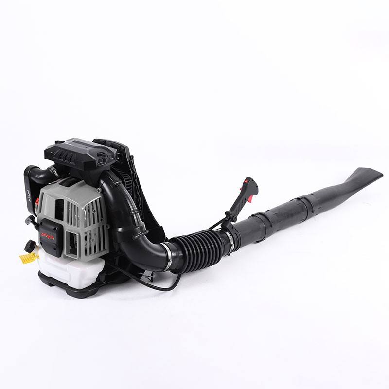 Petrol Blower