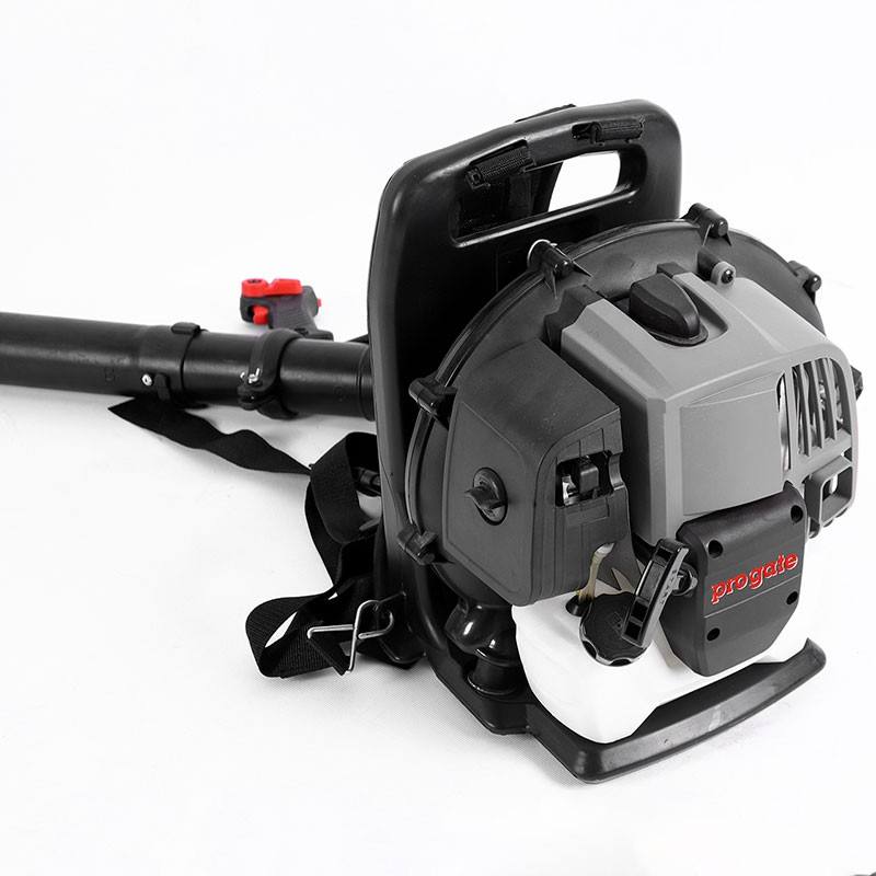 Petrol Blower