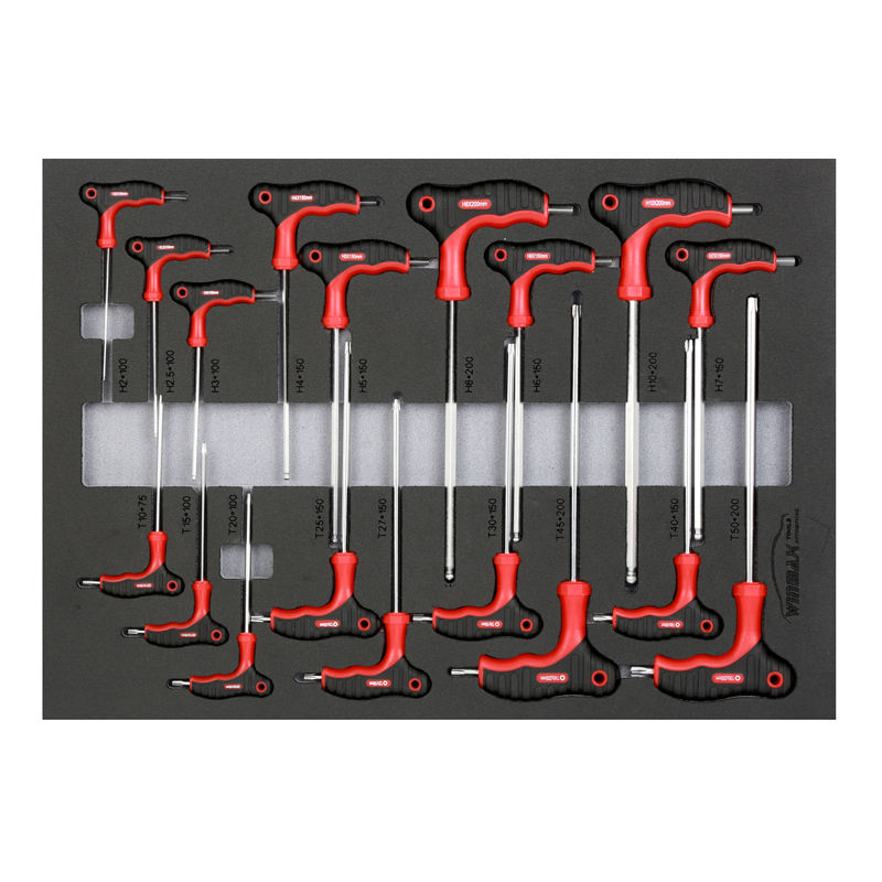 18PCS T-Handle Hex Key Set