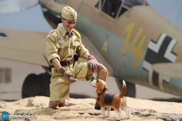 【IN-STOCK】DID German Flying Ace Star of Afrika Africa Hans Joachim + Diorama  D80154 E60060 1/6