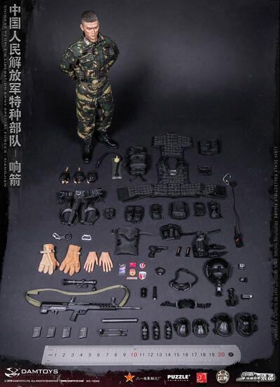 【IN-STOCK】DAMtoys STUDIO 78048 1/6 Chinese People's Special Forces Sound Arro