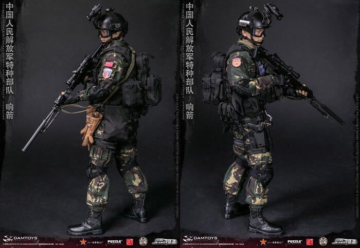 【IN-STOCK】DAMtoys STUDIO 78048 1/6 Chinese People's Special Forces Sound Arro