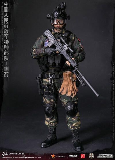 【IN-STOCK】DAMtoys STUDIO 78048 1/6 Chinese People's Special Forces Sound Arro