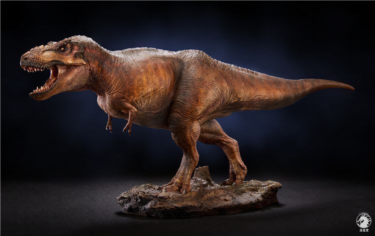 【IN-STOCK】w-dragon 1/35 genus Tyrannosaurus 41cm x 15cm