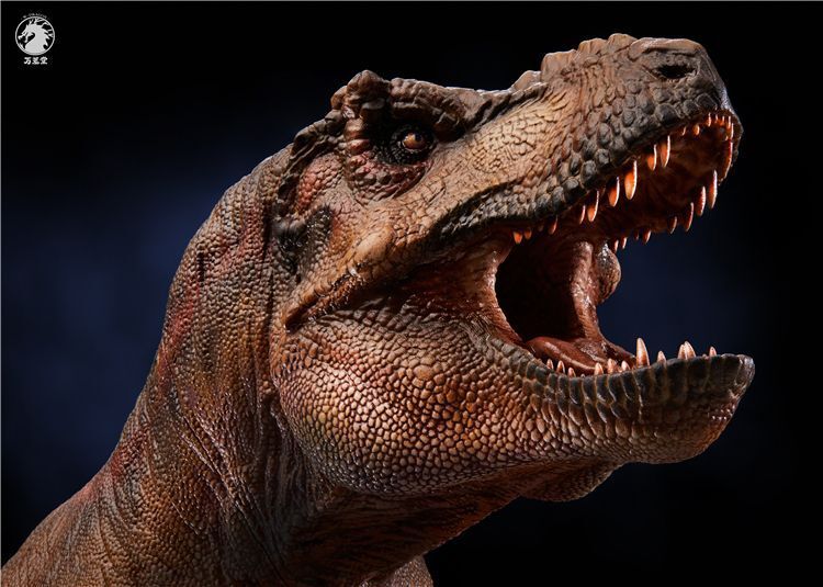 【IN-STOCK】w-dragon 1/35 genus Tyrannosaurus 41cm x 15cm