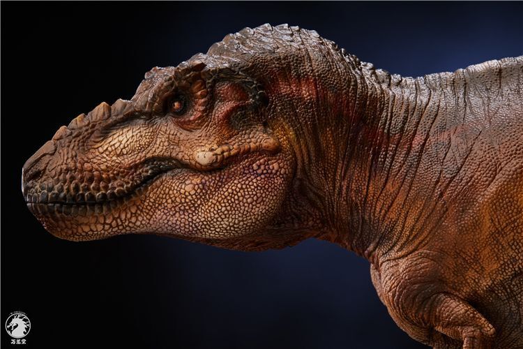 【IN-STOCK】w-dragon 1/35 genus Tyrannosaurus 41cm x 15cm
