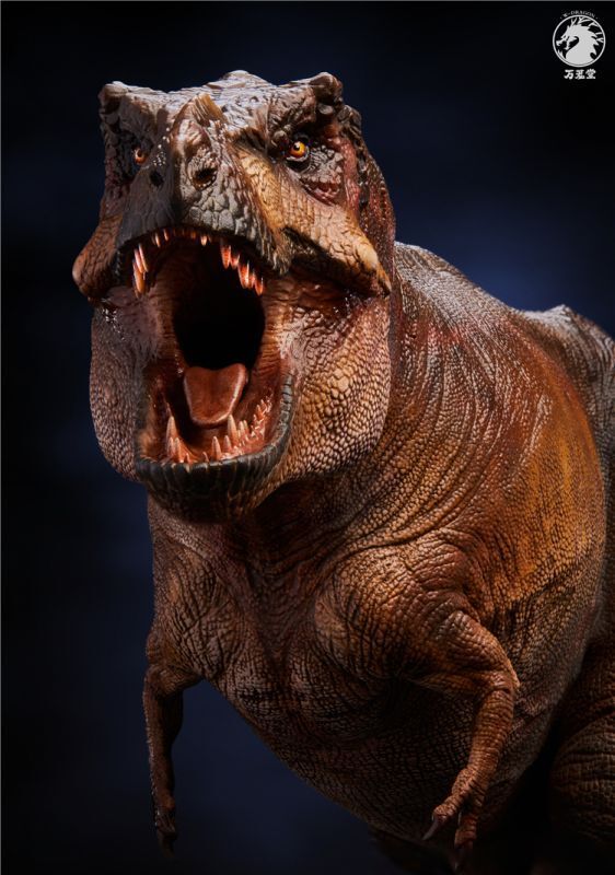 【IN-STOCK】w-dragon 1/35 genus Tyrannosaurus 41cm x 15cm