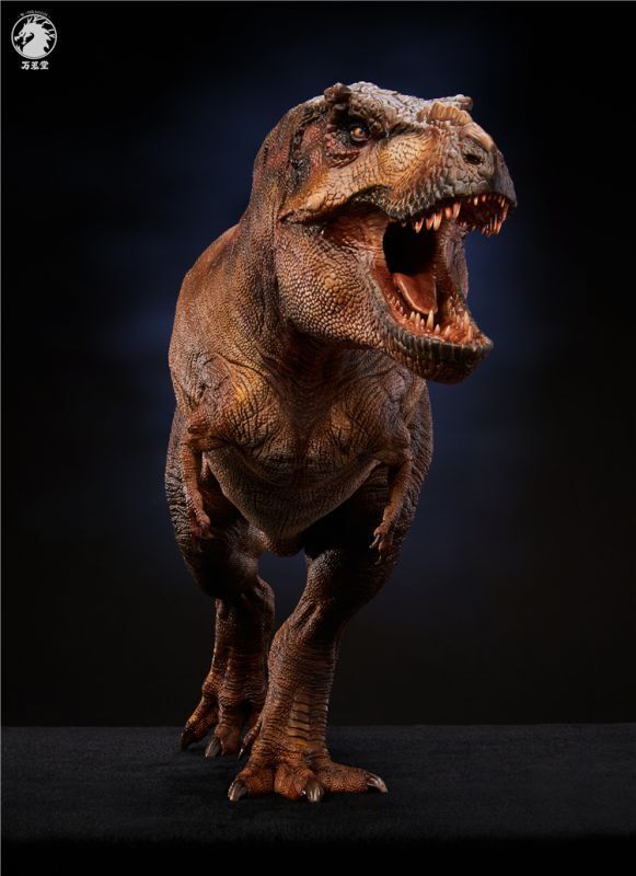 【IN-STOCK】w-dragon 1/35 genus Tyrannosaurus 41cm x 15cm
