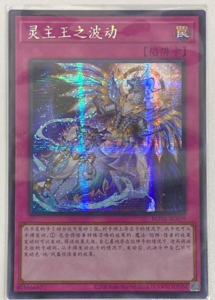 Dominus Impulse ROTA-SC079 SER