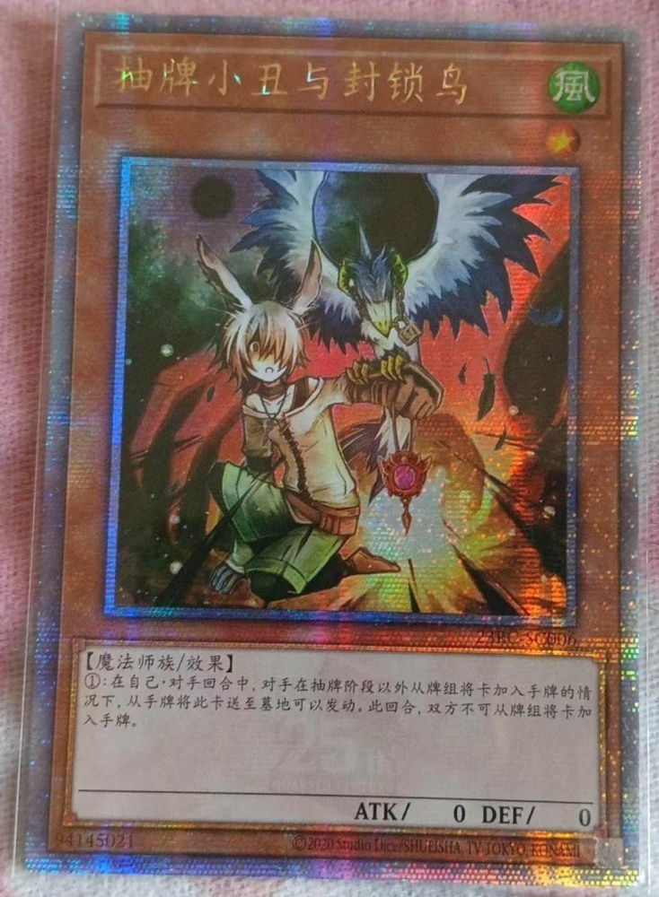 Droll & Lock Bird 23RC-SC006 QCSER