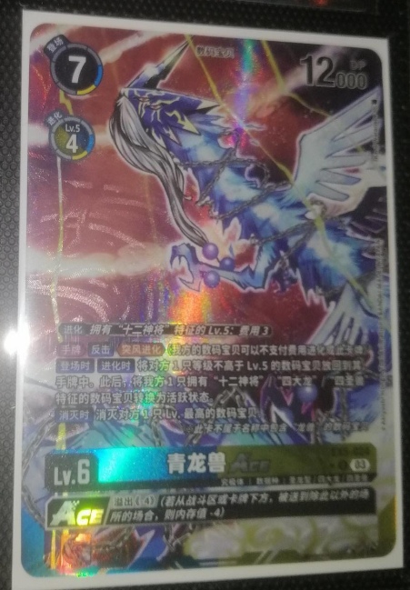 zulongmon Ace - EX5-024