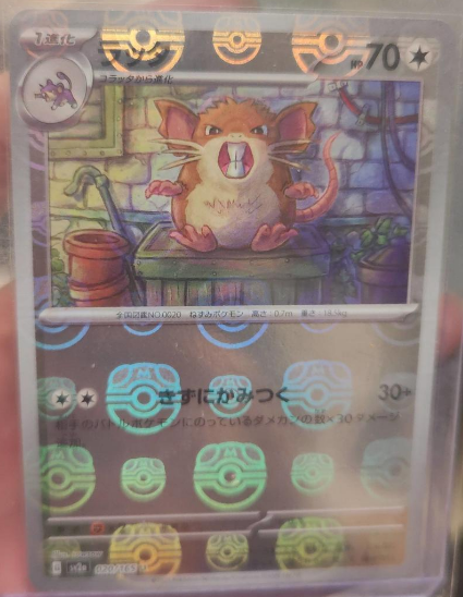 Raticate 020/165