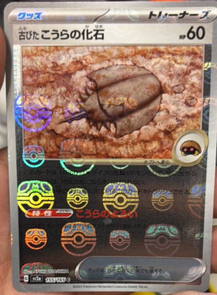 Ancient Cathedral Fossil 155/165