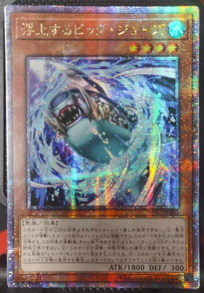 Surfacing Big Jaws ROTA-JP001 QCSER