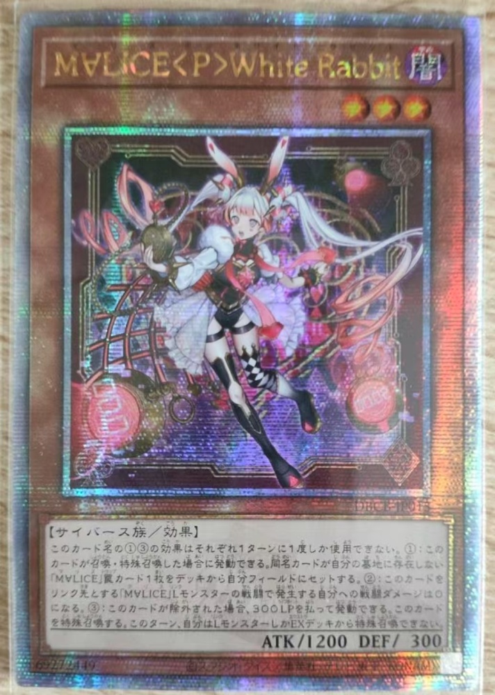 Maliss <P> White Rabbit DBCB-JP015 QCSER