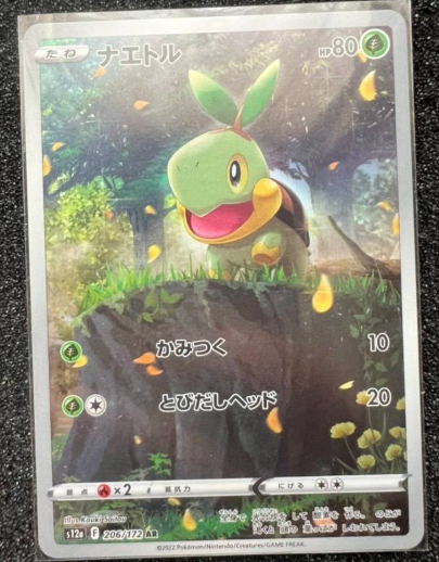 Turtwig 206/172