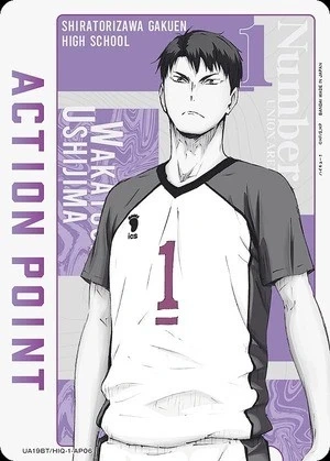 Ushijima　Wakatoshi    Haikyu!! UA19BT  HIQ-1-AP06  AP